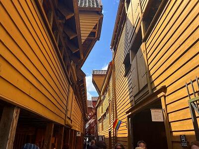 FE015OSA-250606IMG_1469.jpg