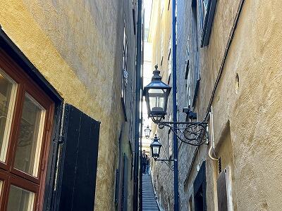 FE015OSA-250606IMG_1614.jpg
