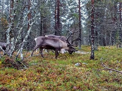FE064_20250920_OSA_250922114958747.jpg