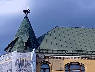 FE107_20260805_OSA260809163948354.jpg