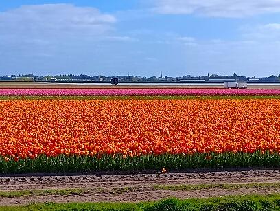 FE193_260425_OSA_260426094856448.jpg