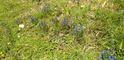 FE223_20250713_OSA_IMG_20250717_145704.jpg