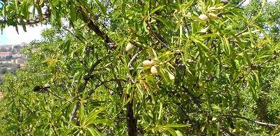 FE224_20250514_OSA_IMG_20250517_140203.jpg
