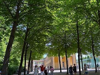 FE232_20250613_OSA_IMG_5518.jpg
