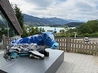 FE260250630IMG_5681.jpg
