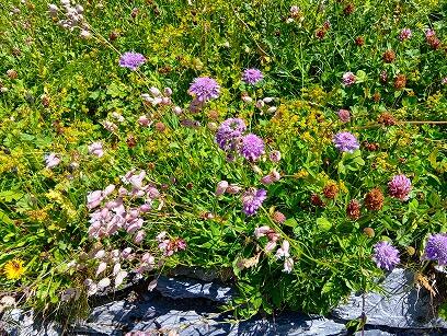 FE260_260720_OSA_260727115639418.jpg