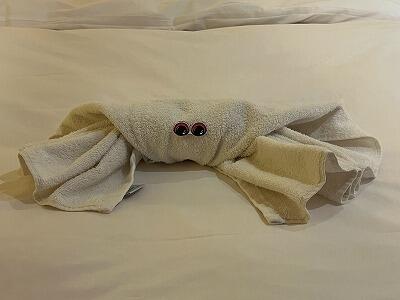 FE293_20250702_OSAIMG_2441.jpg