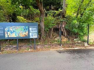 FE321250911IMG_5970.jpg