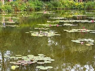 FE321250911IMG_5979.jpg