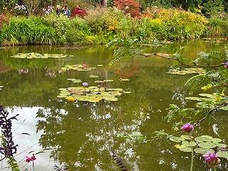 FE321250911IMG_5980.jpg