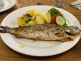 FE382OSA-250506IMG_0589.jpg