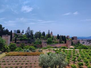 FE391_20250514_OSA_250517153409079.jpg