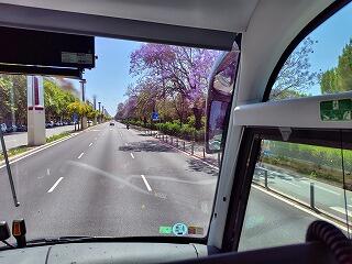 FE391_20250514_OSA_250518154243543.jpg