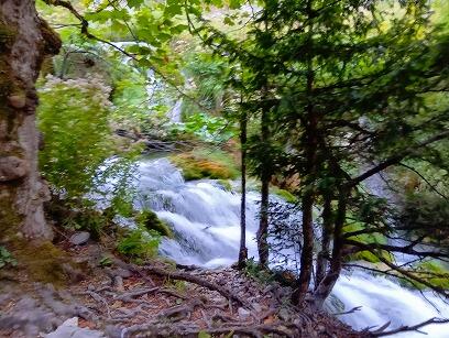 FE394_20260913_OSA260917140718988.jpg