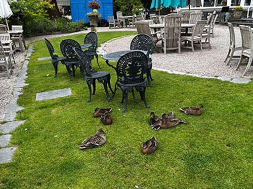 IMG_0890.jpg