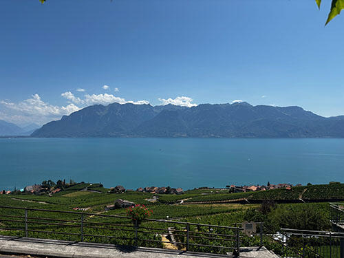 IMG_1747.jpg