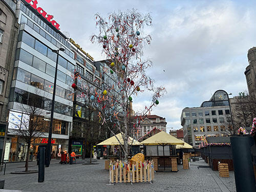 IMG_8699.jpg