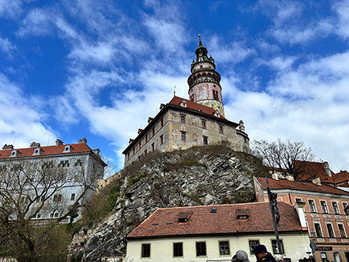 IMG_8828.jpg