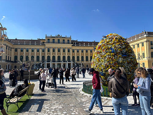 IMG_8941.jpg