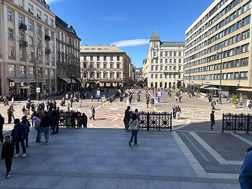 IMG_8977.jpg