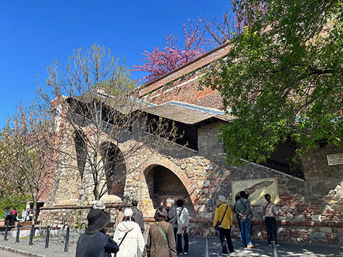 IMG_8985.jpg