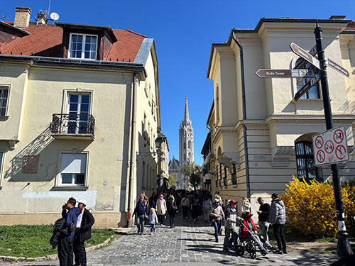 IMG_8988.jpg