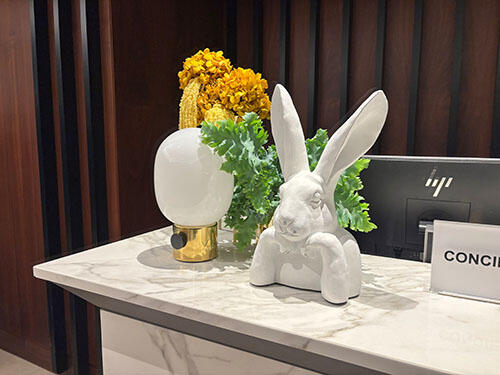 IMG_9013.jpg