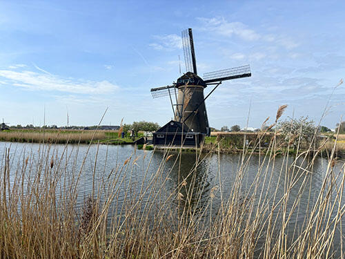 IMG_9305.jpg