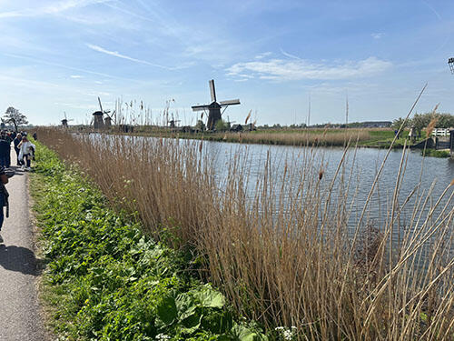 IMG_9306.jpg