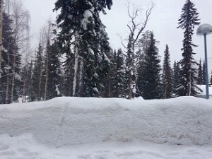 Taga photoﾙｵｽﾄ雪景色.jpg