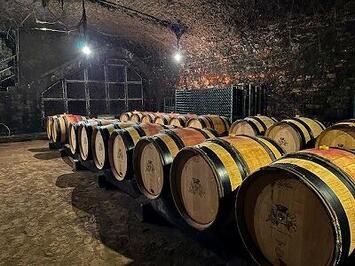 フレンドツアー　関西発　2025年11月10日出発　エミレーツ航空利用　ボーヌワイン祭り"栄光の3日間"に訪れる秋彩のフランス９日間　【コースコード：FE576】