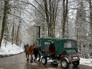 フレンドツアー　関西発　2025年11月16日出発　ルフトハンザドイツ航空利用　バイエルンの歴史 ドイツロマンチック街道をめぐる旅8日間【コース番号：FE385】