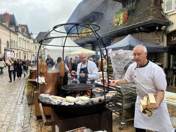フレンドツアー　関東発　2025年11月11日出発　エールフランス航空利用　ボーヌワイン祭り"栄光の3日間"に訪れる秋彩のフランス８日間（コース番号：FE576）