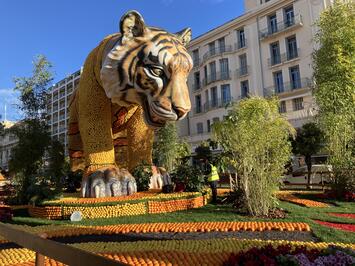 フレンドツアー　関東発　2026年2月16日出発　＜エミレーツ航空利用＞憧れのオーベルジュに泊まる南フランスニースのカーニバルを楽しむ9日間（コース番号：FE573）