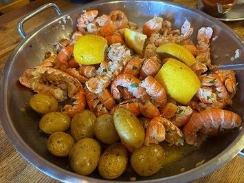 フレンドツアー　関西発　2026年2月19日出発  フィンエアー利用  オーロラと温泉　アイスランドの絶景をめぐる8日間  【コースコード：FE330】