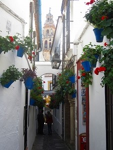 B391_150314_OSA_IMG_0535.jpg