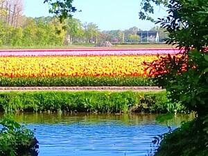 FE660_260420TYO_(96).jpg