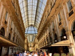 IMG_1890.jpg