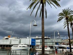 IMG_1911.jpg
