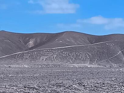 FU372_260912_OSA_260915003329046.jpg