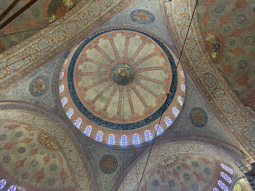 IMG_2447.jpg