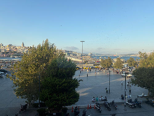 IMG_2559.jpg