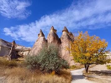 フレンドツアー　関西発　2025年10月19日出発　ターキッシュエアラインズ利用　優雅なトルコ１０日間　【コースコード：FE675】