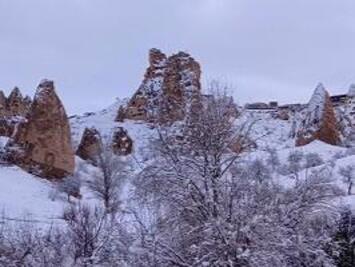 フレンドツアー　関西発　2026年02月22日出発　ターキッシュエアラインズ利用 「ペラパレス」に泊まる 優雅なトルコ 10日間【コースコース：FE675】