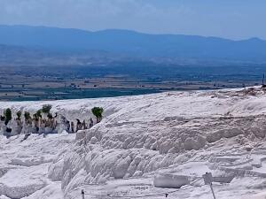 FE_260608TYO_(71).jpg