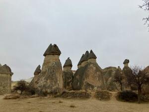 FE675_20241227TYO_ (71).jpg