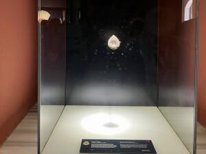 FE675_20260510TYO_ (155).jpg