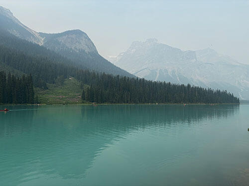 IMG_2270.jpg