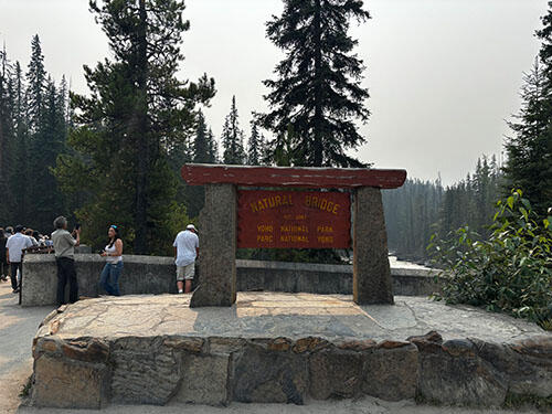 IMG_2273.jpg