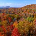 フレンドツアー　関東発　2025年10月1日出発　＜ANA利用＞秋のカナダメイプル街道９日間（コース番号：FC770）